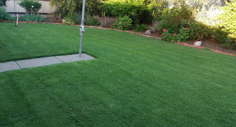 Regen Property Group Gardening Services Pic 1 - Lawn Services RPG