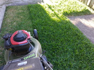 Lawns by Bruce - Mowing and Gardening Services Pic 4 - Turning grass into lawn