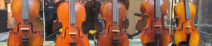 Ozstrings Melbourne Pic 2 - Online Violin Shop