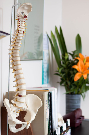 Be Chiropractic Pic 3