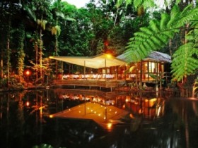 Daintree Eco Lodge & Spa Pic 1 - Daintree Eco Lodge and Spa