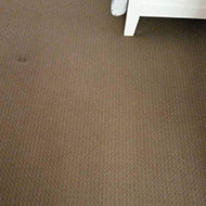 Aqua Dry Domestic & Commercial Carpet Cleaning Pic 3