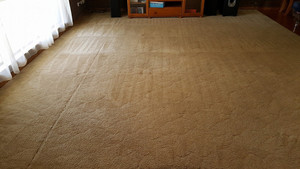 Aqua Dry Domestic & Commercial Carpet Cleaning Pic 5