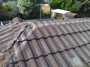 TAZ Roof Tiling Pic 4 - Ridge Capping Repairs