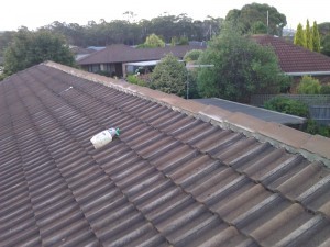 TAZ Roof Tiling Pic 5 - Ridge Capping Repairs