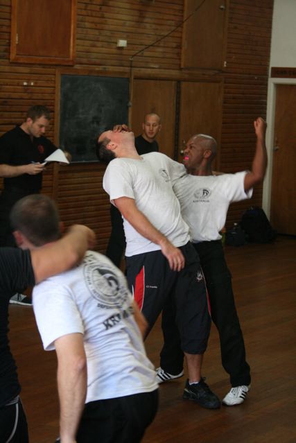 The Dojang Pic 1 - krav maga