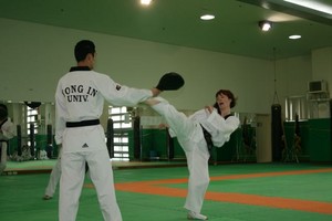 The Dojang Pic 3 - taekwondo