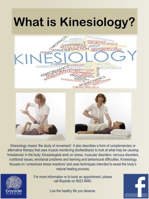 Bayside chiropractic Pic 4 - Kinesiologist Cronulla