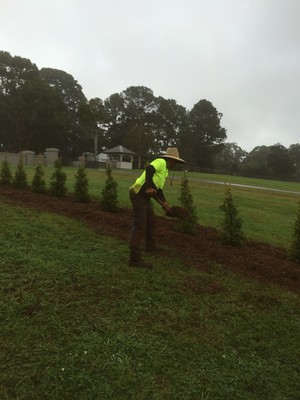 Grass Hoppa Pic 2 - Garden mulching