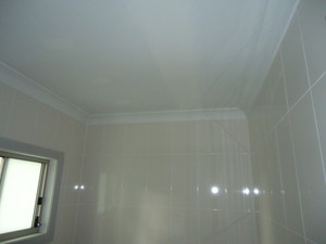 MJ's Plastering Pic 3 - Installed bathroom walls and ceiling