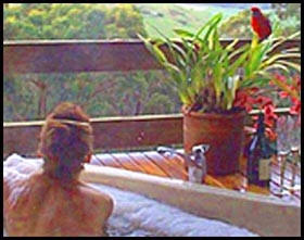 Glenaire Cottages Pic 1 - spa with a view a friend