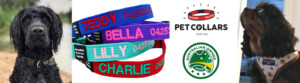 Personalised Pet Collars Pic 2