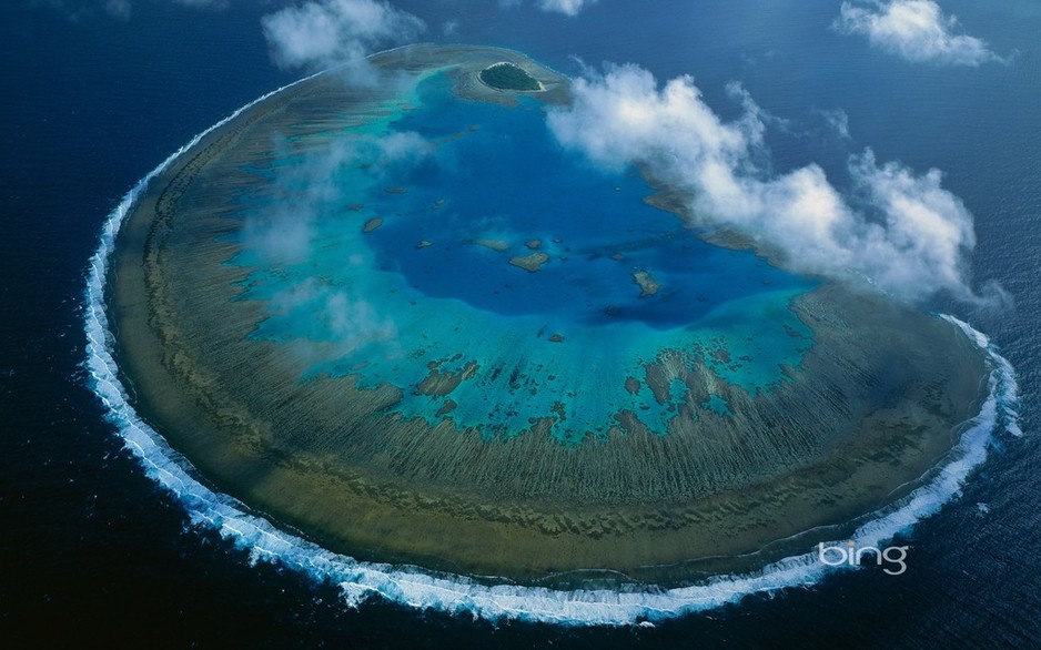 Lady Musgrave Experience Pic 2 - Lady Musgrave Island Lady Musgrave Experience