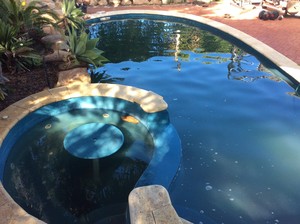 Express Pool Cleaning Mandurah Pic 2 - From This