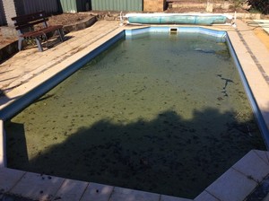 Express Pool Cleaning Mandurah Pic 4 - would you like this