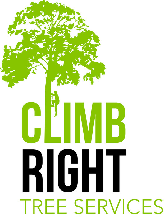 Climb Right Tree Services Pic 1