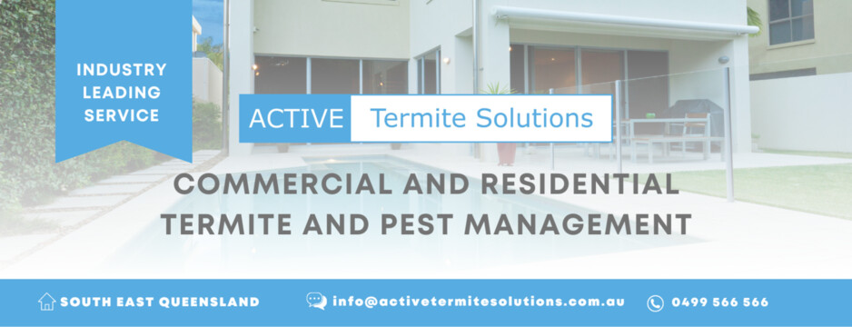 Active Termite Solutions Pic 1