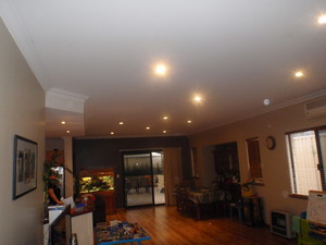 PRF Electrical Pic 2 - LED Down Lights