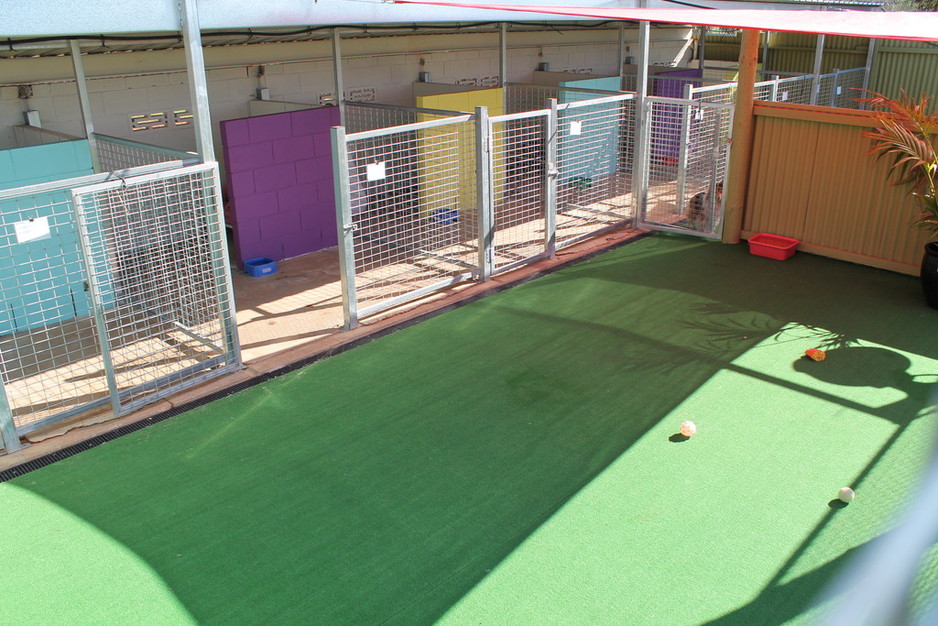 Paws Resort Pic 1 - Small dog area