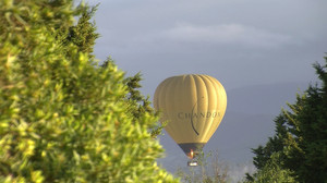 Two Can Pictures Pic 5 - chandon balloon yarra valley