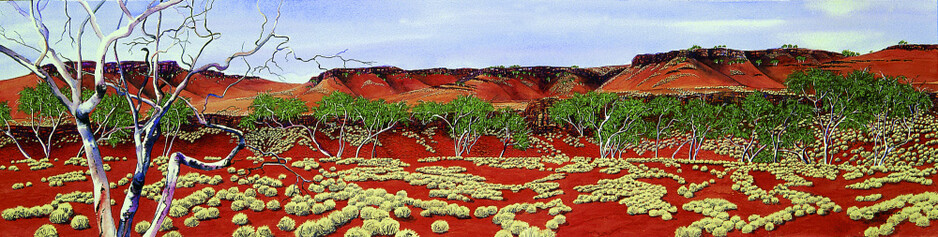 Beverley Skurulis Gallery Pic 1 - Karajini National Park The Pilbara Western Australia