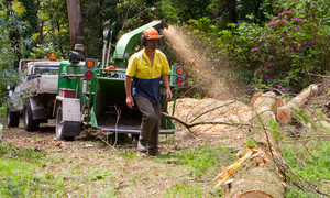 Melbourne Tree Stump Removal Pty Ltd Pic 3 - Mulching