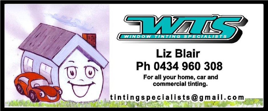 Window Tinting Specialists Pic 1