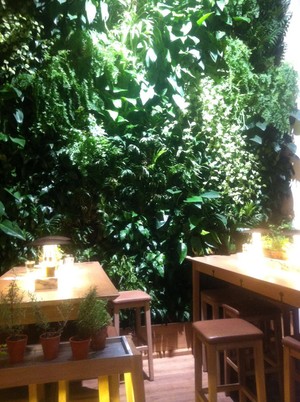 Vapiano in Sydney, NSW, Restaurants - TrueLocal