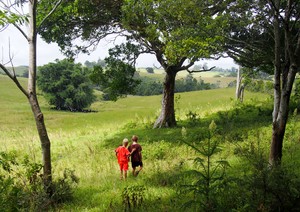 Byron Bay Farmstay Pic 5 - Plenty of space to explore