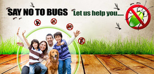 Pest Control Launceston Pic 4 - House Fumigation Launceston