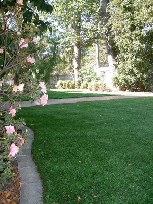 Landscape Melbourne Landscaping Services Pic 4 - Artificial Grass Melbourne Landscape Melbourne Landscaping Services Melbourne