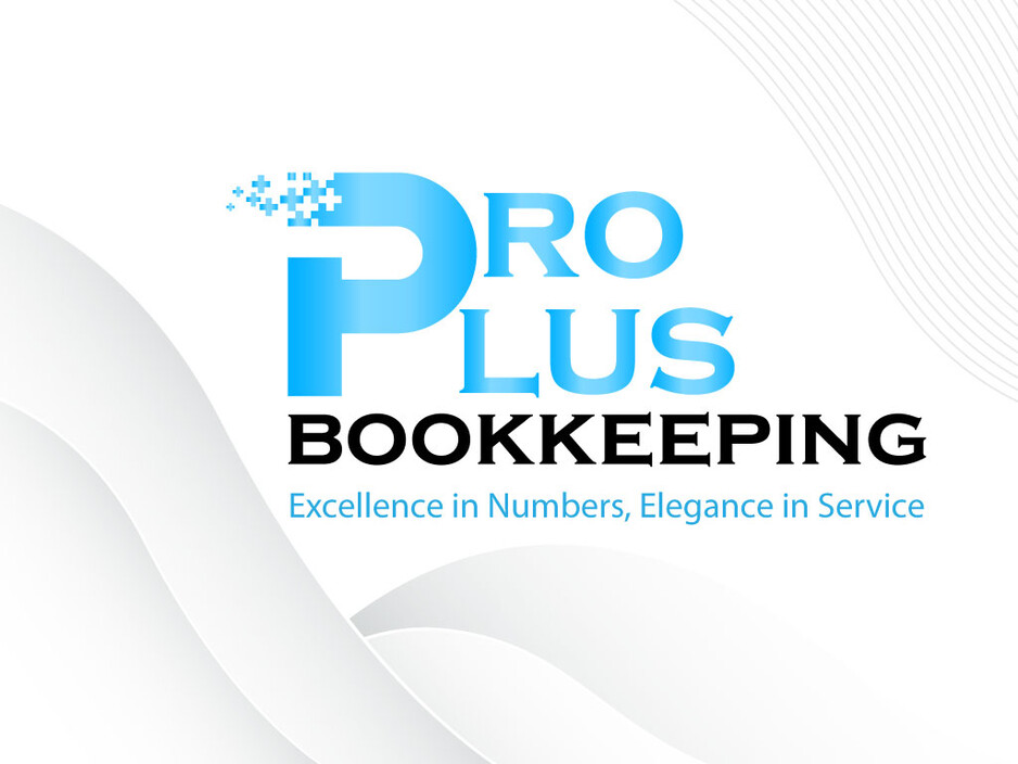 Pro Plus Bookkeeping Pic 1