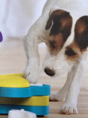 Let's Pawty Pic 4 - Interactive dog toys and dog puzzles available for your dog