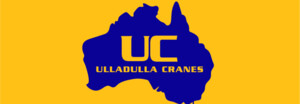 Ulladulla Crane Hire Pic 4