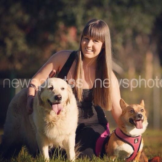 Affordable Dog Walkers Pic 1