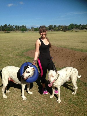 Affordable Dog Walkers Pic 3