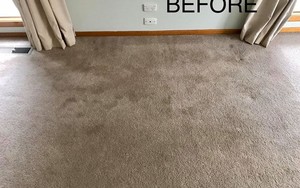 Greater Carpet Cleaning Pic 4