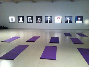 Macarthur Yoga Therapy Pic 2 - Individual small medium large classes available