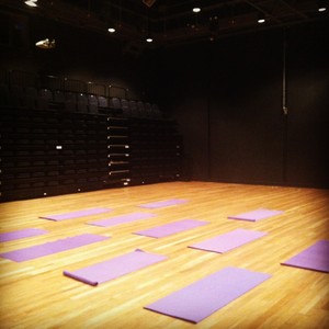 Macarthur Yoga Therapy Pic 3 - Strength Health Vitality Meeting all of your YOGA needs