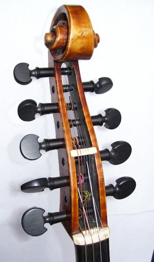 The Violin Place Pty. Ltd. Pic 3 - Violin damore made by JW Robinson