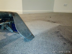 Derek Jeanneret Carpet Cleaning Northern Beaches Pic 4