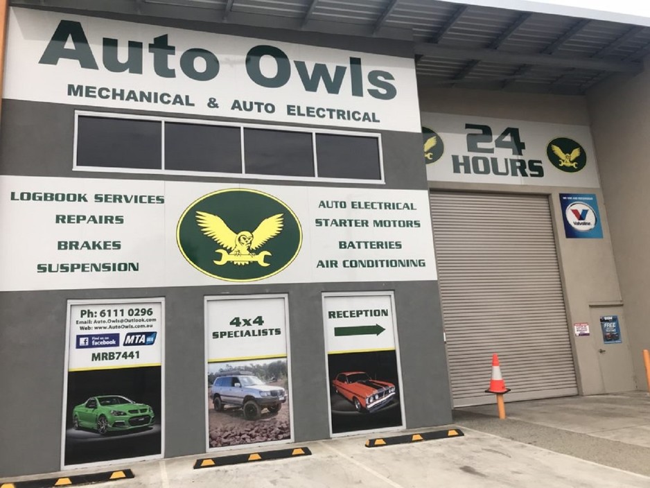 Auto Owls Pic 1