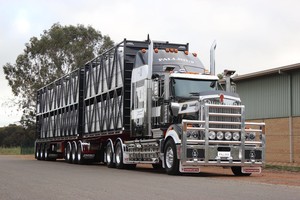 Rhino Trailers Pic 4