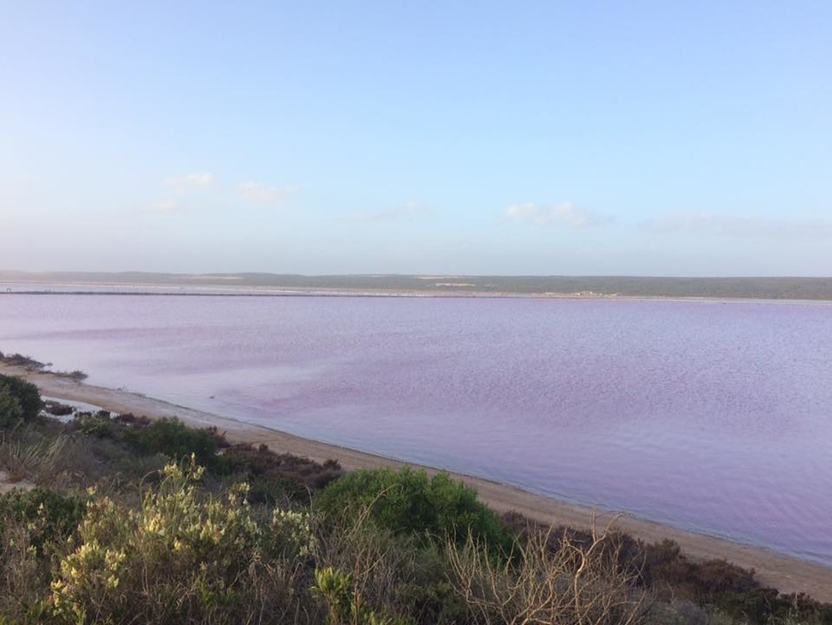 Pink Lake Tourist Park Pic 1