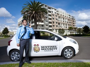 Sentinel Security Group Pic 2