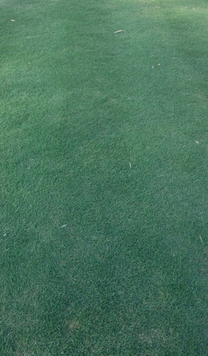 GROW Lawn Care Australia Pic 3