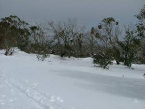 Amaroo Counselling Pic 2