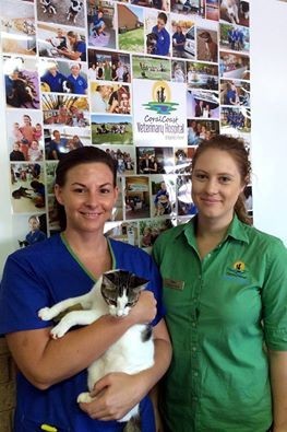 Coral Coast Veterinary Hospital Pic 2 - Bree Jen Registered Veterinary nurses