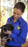 Coral Coast Veterinary Hospital Pic 4 - Dr Dani