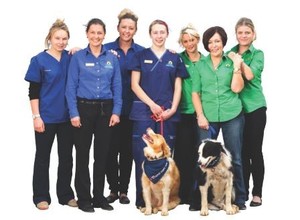 Coral Coast Veterinary Hospital Pic 5 - The Coral Coast Team